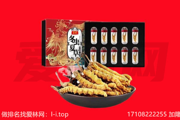 海安市回收虫草.jpg